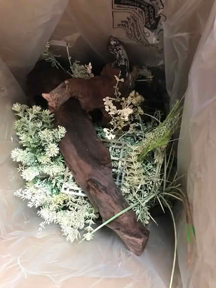 Photo of free Box of fish tank wood flower (Selsdon) #1