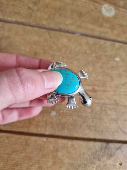 Photo of free Turtle Pendant / Brooch (Woking GU22 9) #2