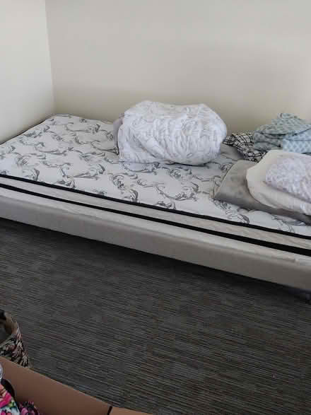 Photo of free Single bed frame and mattress (Maple Crest in Bluffton) #1