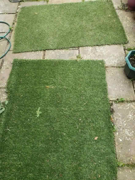 Photo of free Used Fake grass (CH49) #2