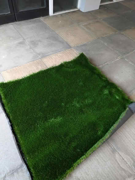 Photo of free Artificial grass - small piece (W2 Lancaster Gate tube) #1