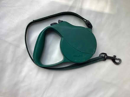 Photo of free Dog leash (Creditview and Britannia) #1