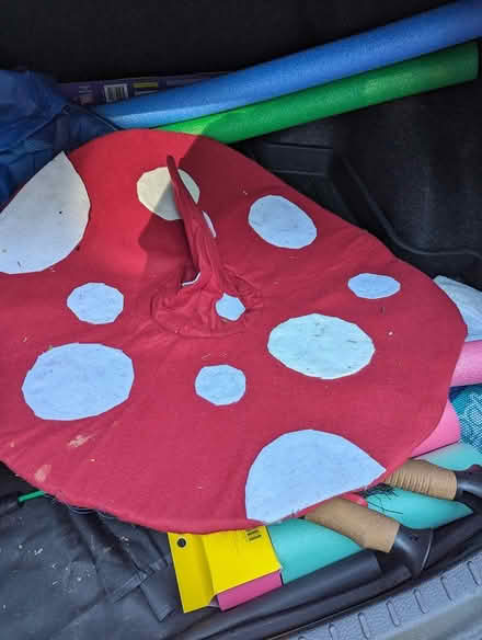 Photo of free Costume piece - mushroom witch hat (Kingstown) #1