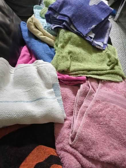 Photo of free Dog/hair dye towels (Newcastle-under-Lyme, ST5) #1