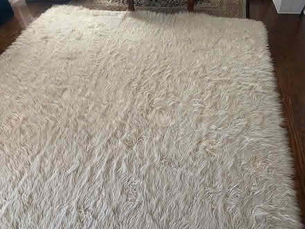 Photo of free flokati 100% wool rug 8x10 (Ardmore) #2