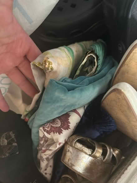 Photo of free Women’s shoes 6-7, jacket, misc (N22) #4