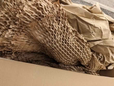 Photo of free Packaging - bottle protectors, bubble wrap, paper/card bulk (Timsbury) #3
