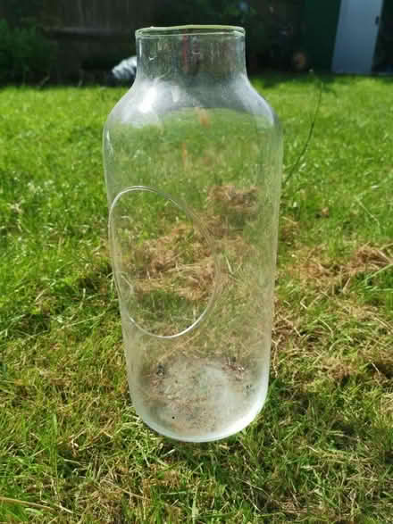 Photo of free Glass orchid vase (Barnet EN5) #1