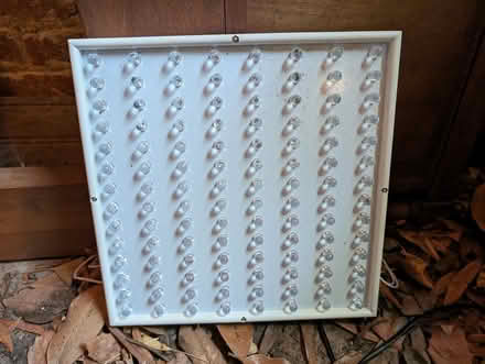 Photo of free LED grow light for indoor plants (20002) #2