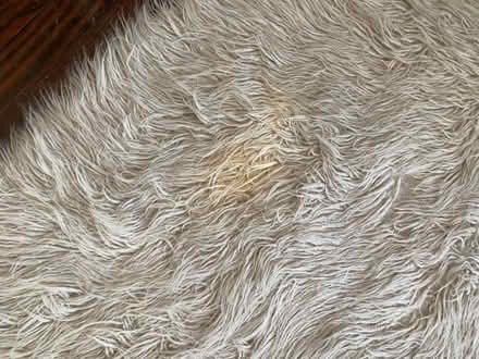 Photo of free flokati 100% wool rug 8x10 (Ardmore) #4