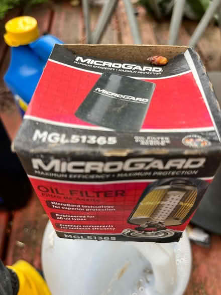 Photo of free Vehicle oil filters (Lake City) #2