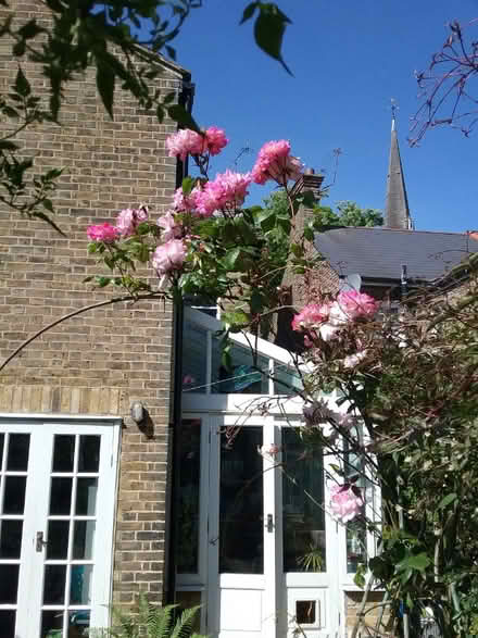 Photo of free Pair of french doors (Brentwood CM14) #3