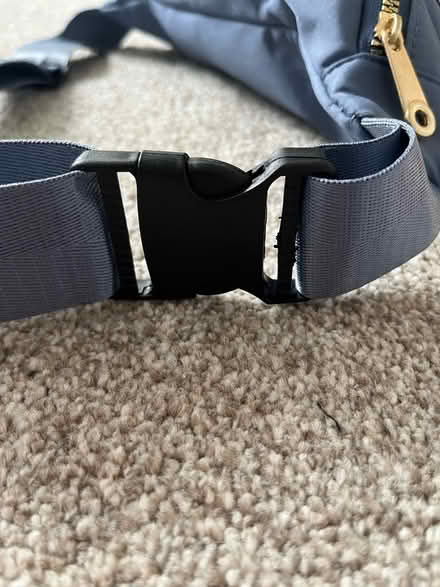 Photo of free Belt bag (Fulbourn) #4