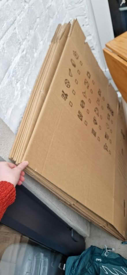 Photo of free 7 ikea moving boxes (Northfields) #1