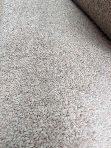 Photo of free Assorted beige wool (80:20) carpet lengths (Headington OX3) #1