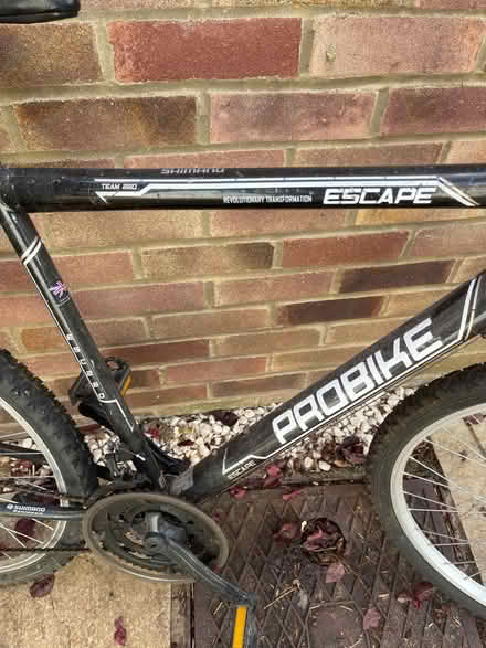 Photo of free Men’s mountain bike (OX25) #4