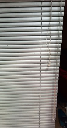 Photo of free Wide metallic silver-grey perforated venetian blind (Ness CH64) #1
