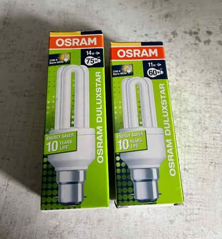 Photo of free Lightbulbs (Bidston Hill CH43) #1