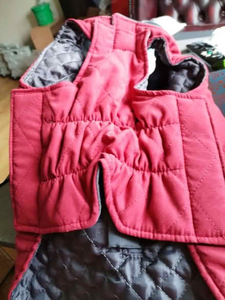 Photo of free m size dog coat new (Hampden Park BN22) #2