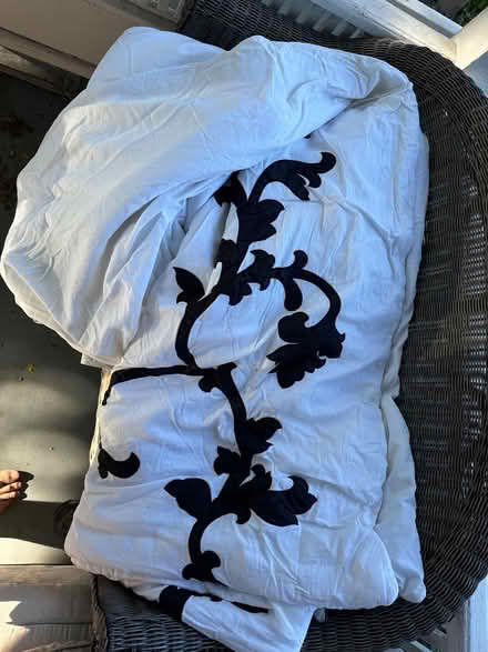 Photo of free Two Queen Sized Comforters (Downtown Iithaca) #1
