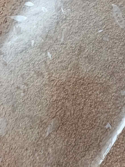 Photo of free Window Privacy off cuts (DE21) #4