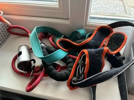 Photo of free Dog beds and food (Droitwich WR9) #3