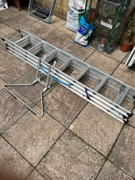 Photo of free Ladder (North Ascot SL5) #3