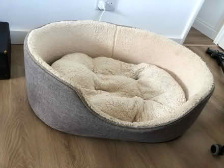 Photo of free Dog bed (medium to large dogs) (Woodingdean) #2