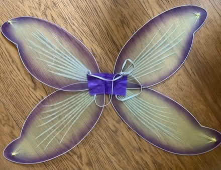 Photo of free Fairy wings (Cirencester) #2