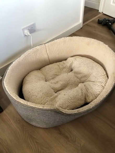 Photo of free Dog bed (medium to large dogs) (Woodingdean) #1
