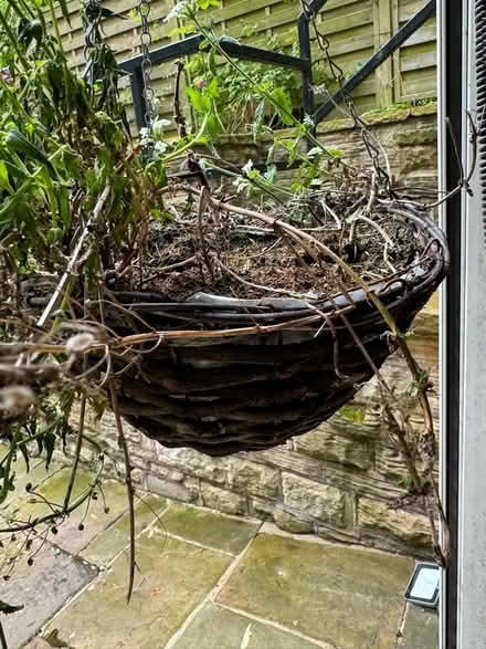 Photo of free Flower baskets (Sheffield) #2