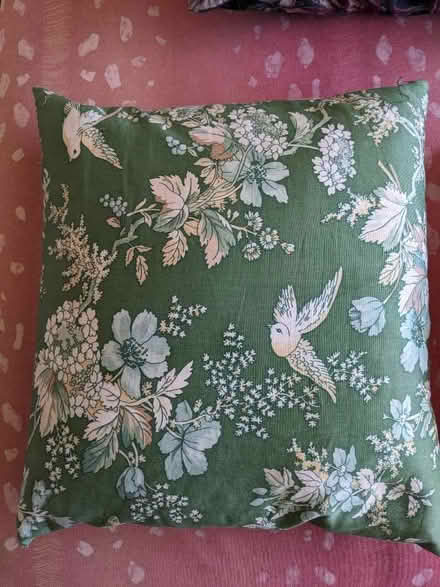 Photo of free Green Patterned Duck Feather Cushions (Welling DA16) #1