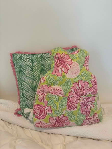 Photo of free Lilly P pillows (Chevy Chase MD) #1