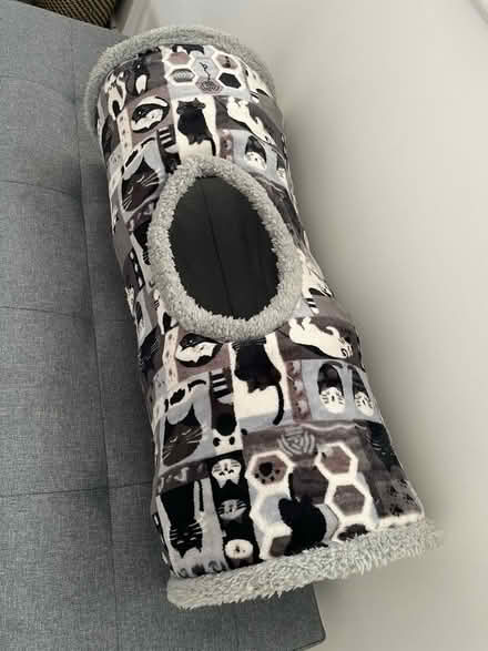 Photo of free Cat tunnel (Shefford SG17) #1