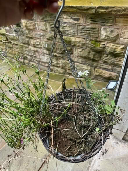 Photo of free Flower baskets (Sheffield) #1