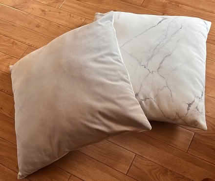 Photo of free Two Polyester Velvet Cushions 48cm 19in (New Malden KT3) #2