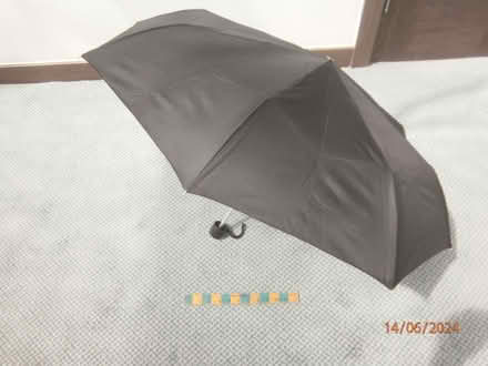 Photo of free Fulton Compact Umbrella (Denham UB9) #3