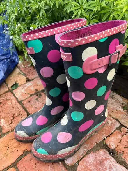 Photo of free Size 4 (adult) wellington boots (BR3 Beckenham/Penge) #1