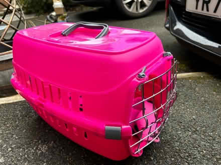 Photo of free Kitten litter tray, bed & carrier (CW11)