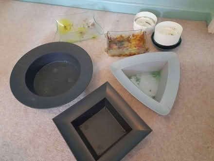 Photo of free Flower arranging and craft supplies (Kingston Park NE3) #4