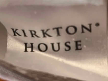 Photo of free Two Polyester Velvet Cushions 48cm 19in (New Malden KT3) #3