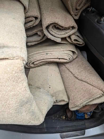 Photo of free Assorted beige wool (80:20) carpet lengths (Headington OX3) #3