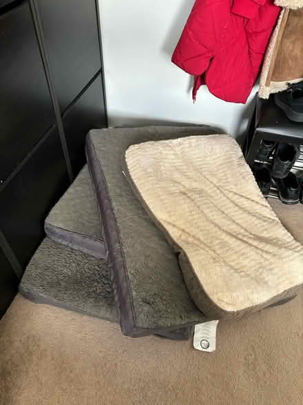 Photo of free Dog beds and food (Droitwich WR9) #1
