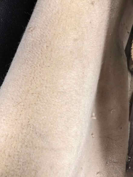 Photo of free Assorted beige wool (80:20) carpet lengths (Headington OX3) #2