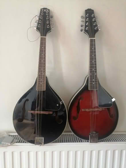 Photo of free 2 Mandolins (Shirley B90) #1