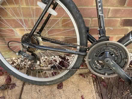 Photo of free Men’s mountain bike (OX25) #2