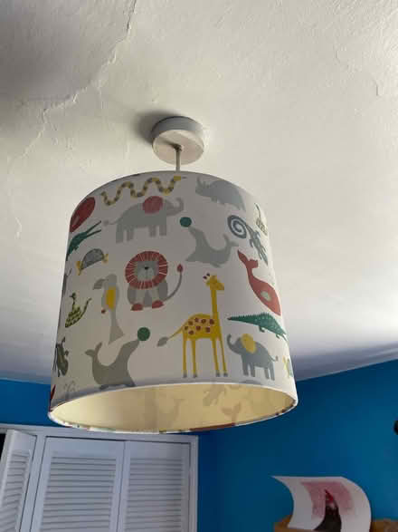 Photo of free Child’s light shade (Banwell, BS29) #1