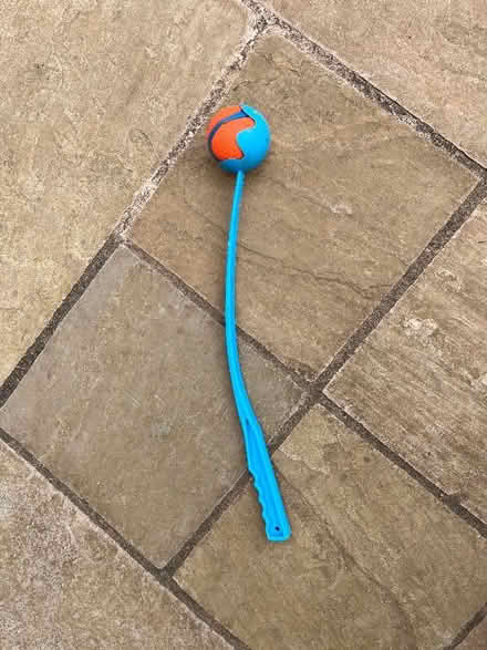 Photo of free Dog ball launcher and ball (Malvern Link WR14) #1