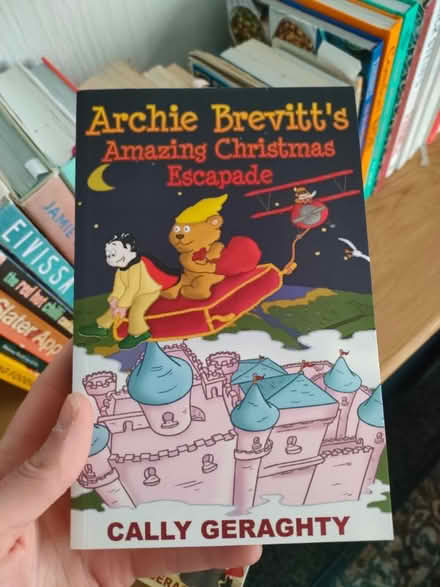 Photo of free Brand New Books (Hollinsend S12) #2