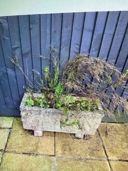 Photo of free Stone planter (Greatness TN14) #1